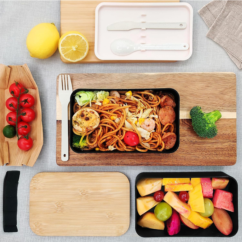 일본식 이중 레이어 도시락통, 음식 보관 피크닉 박스, - Meal Prep Japanese Food 리뷰 및 가격