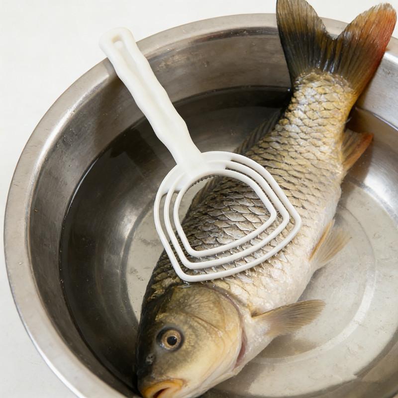 수동 플라스틱 고기 스크레이퍼 생선 비늘 제거기 흰색  - Meal Prep Seafood 리뷰 및 가격